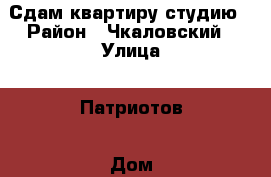 Сдам квартиру студию › Район ­ Чкаловский › Улица ­ Патриотов › Дом ­ 6 кор. 3 › Этажность дома ­ 12 › Цена ­ 14 000 - Свердловская обл., Екатеринбург г. Недвижимость » Квартиры аренда   